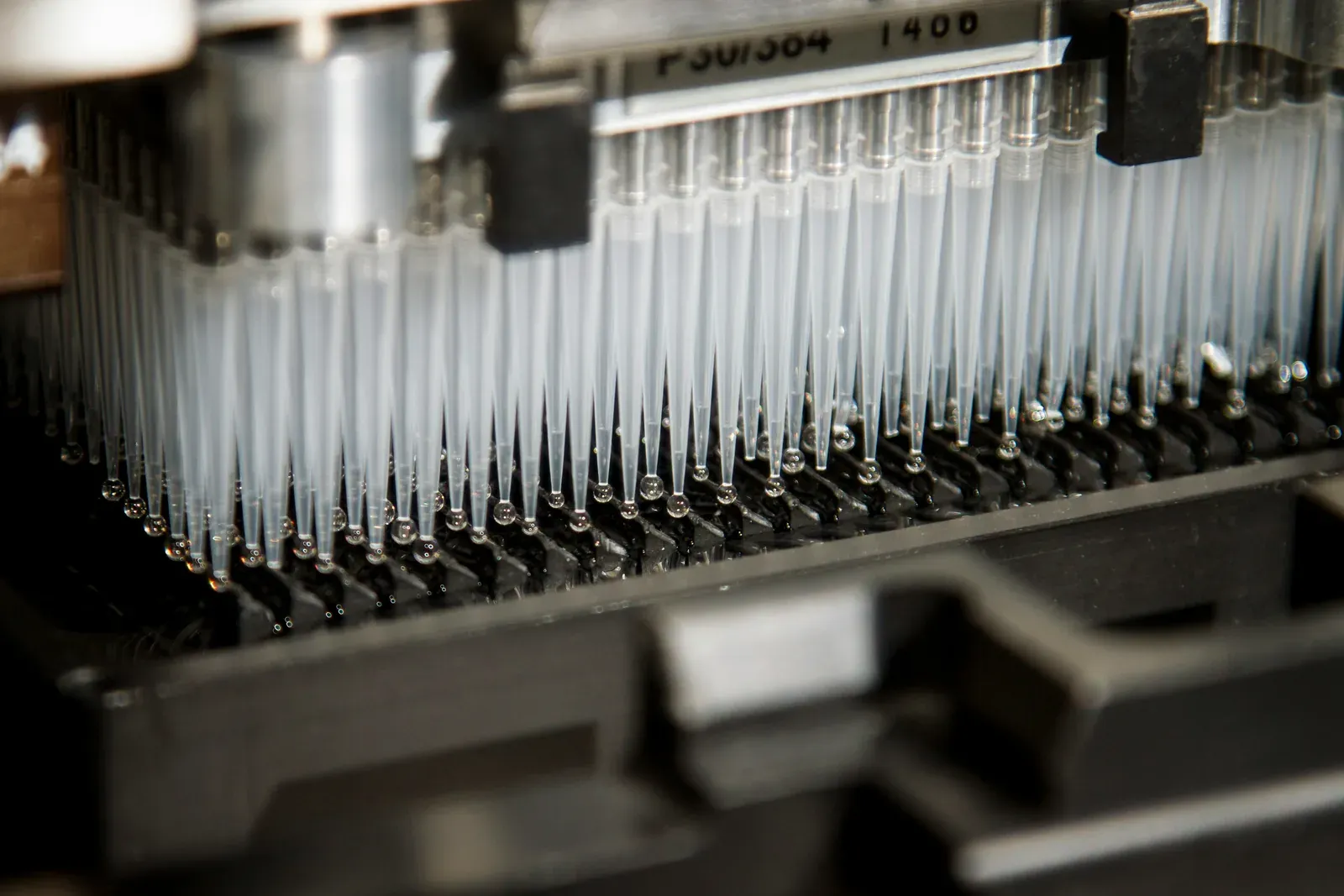 Pipettenspitzen eines Laborautomaten über einer Probenplatte